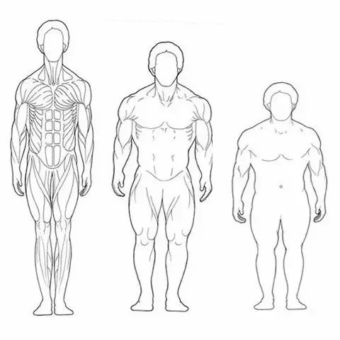 不同体型的健身训练方法,健身没有毅力怎么锻炼