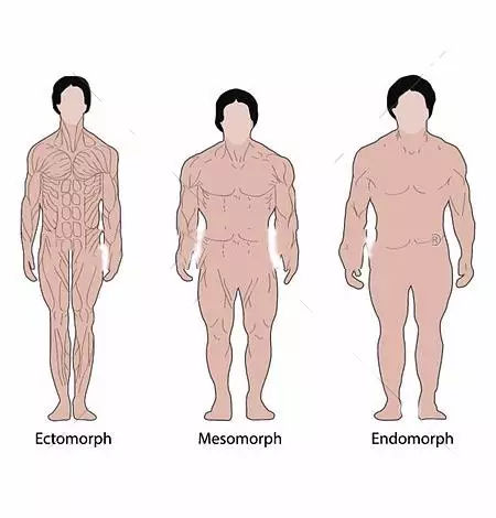 不同体型的健身训练方法,健身没有毅力怎么锻炼