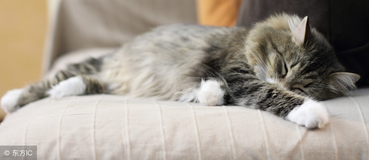 醋的10个小妙用你知道几个,食用醋的妙用你知道吗