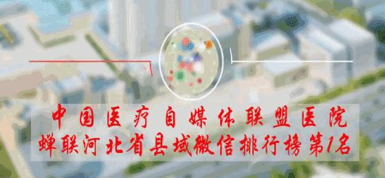 守卫适合用什么武器,守卫做哪些工作