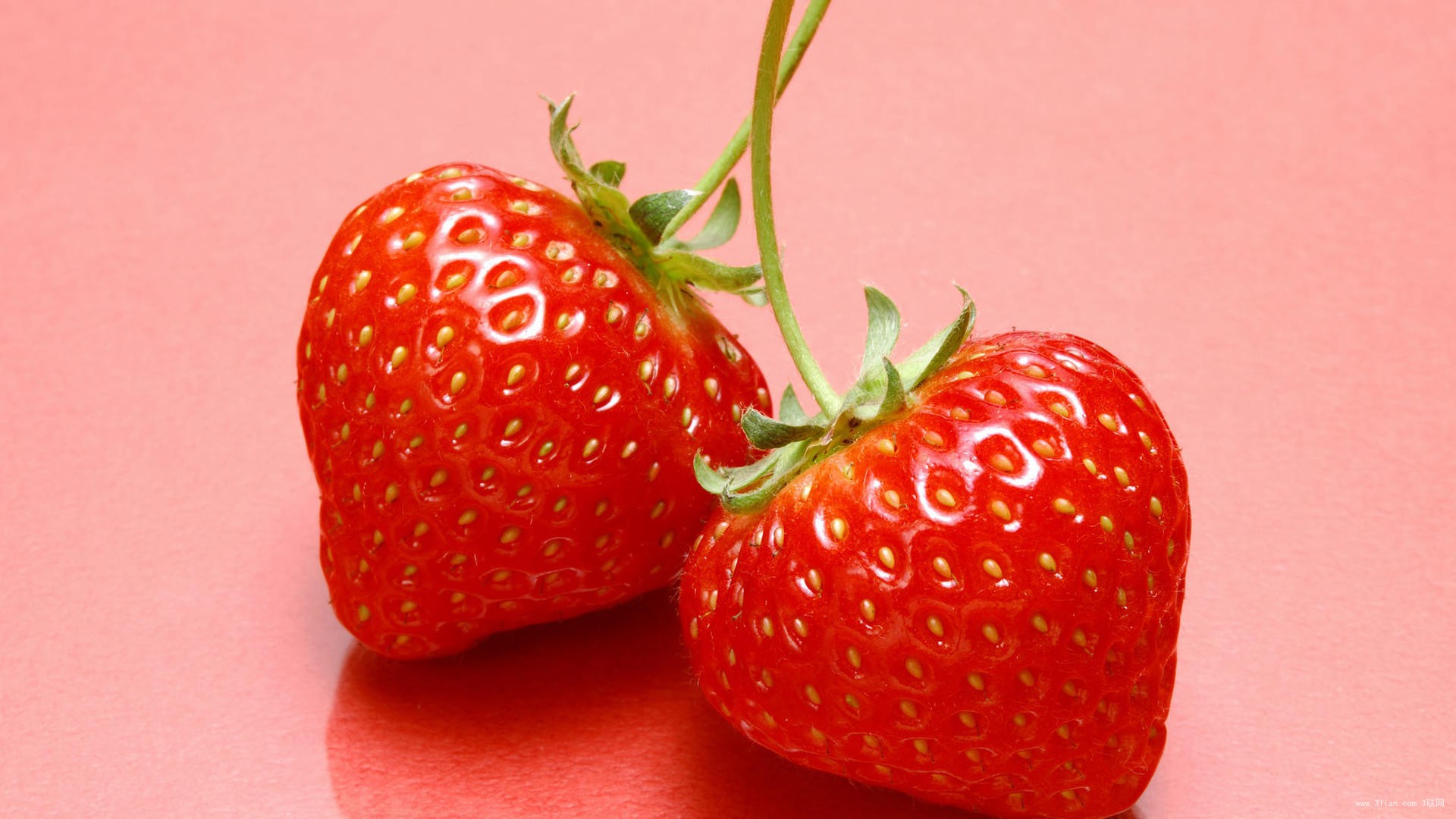 牙龈出血便血吃什么中药效果最好,专治牙龈出血最好的药