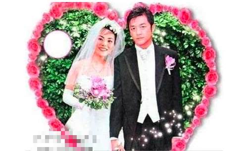 王菲谢霆锋李亚鹏关系表,王菲谢霆锋李亚鹏的爱情