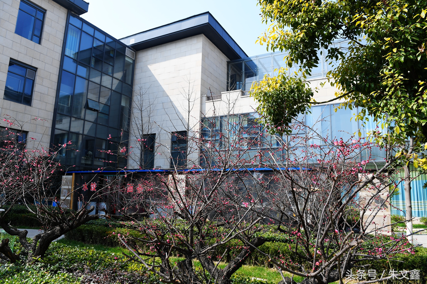 群雁高飞头雁领什么意思,群雁高飞