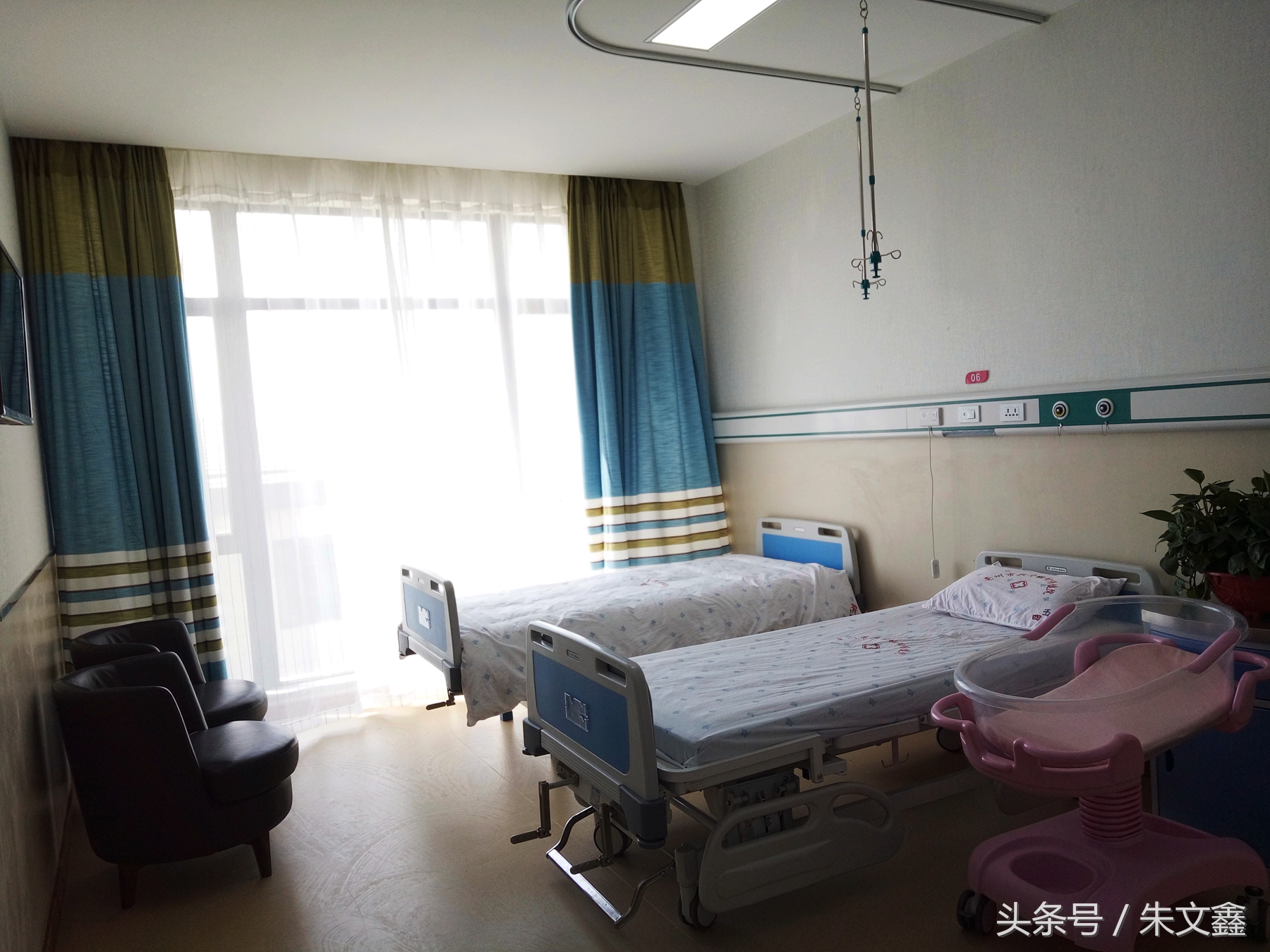 群雁高飞头雁领什么意思,群雁高飞