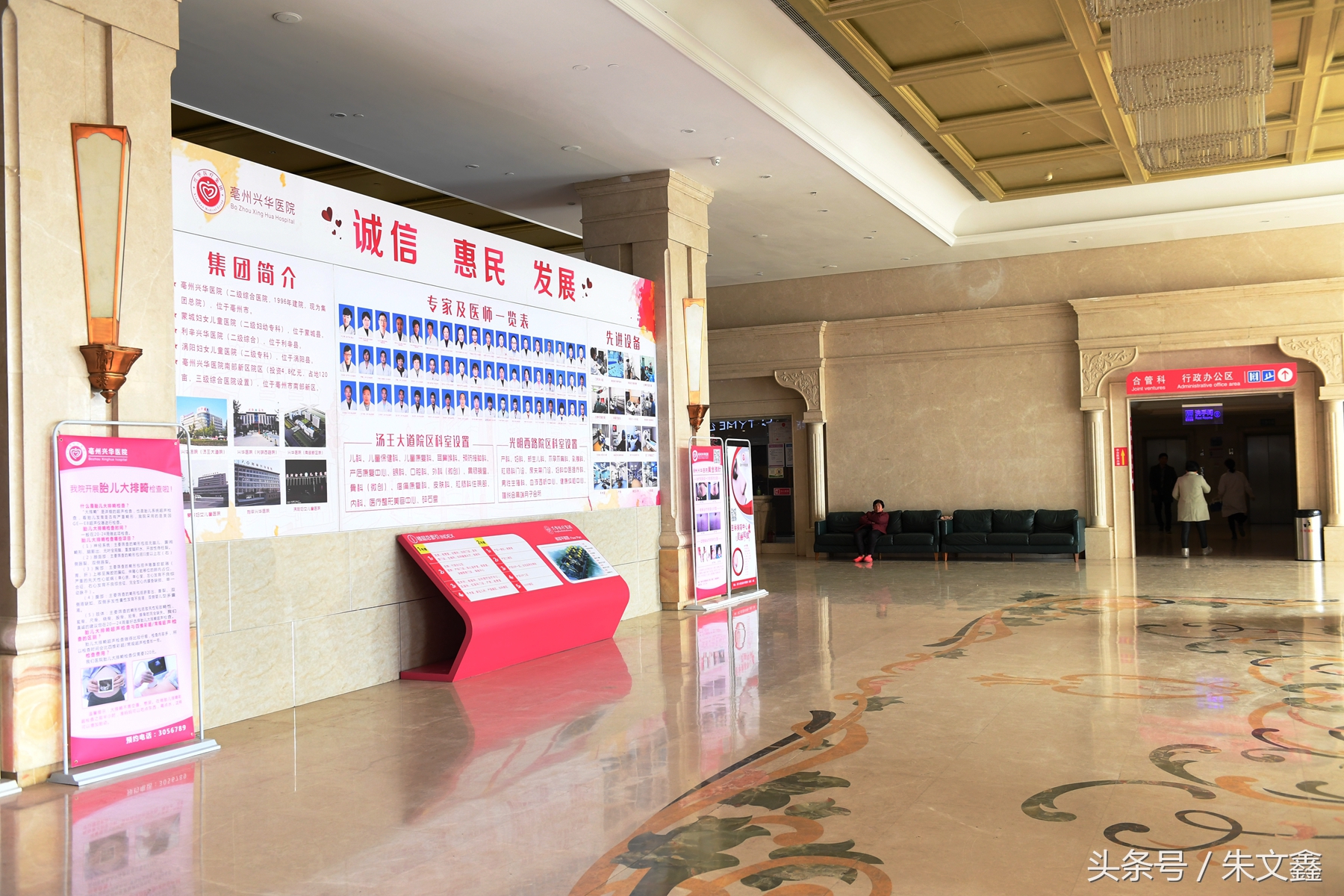 群雁高飞头雁领什么意思,群雁高飞