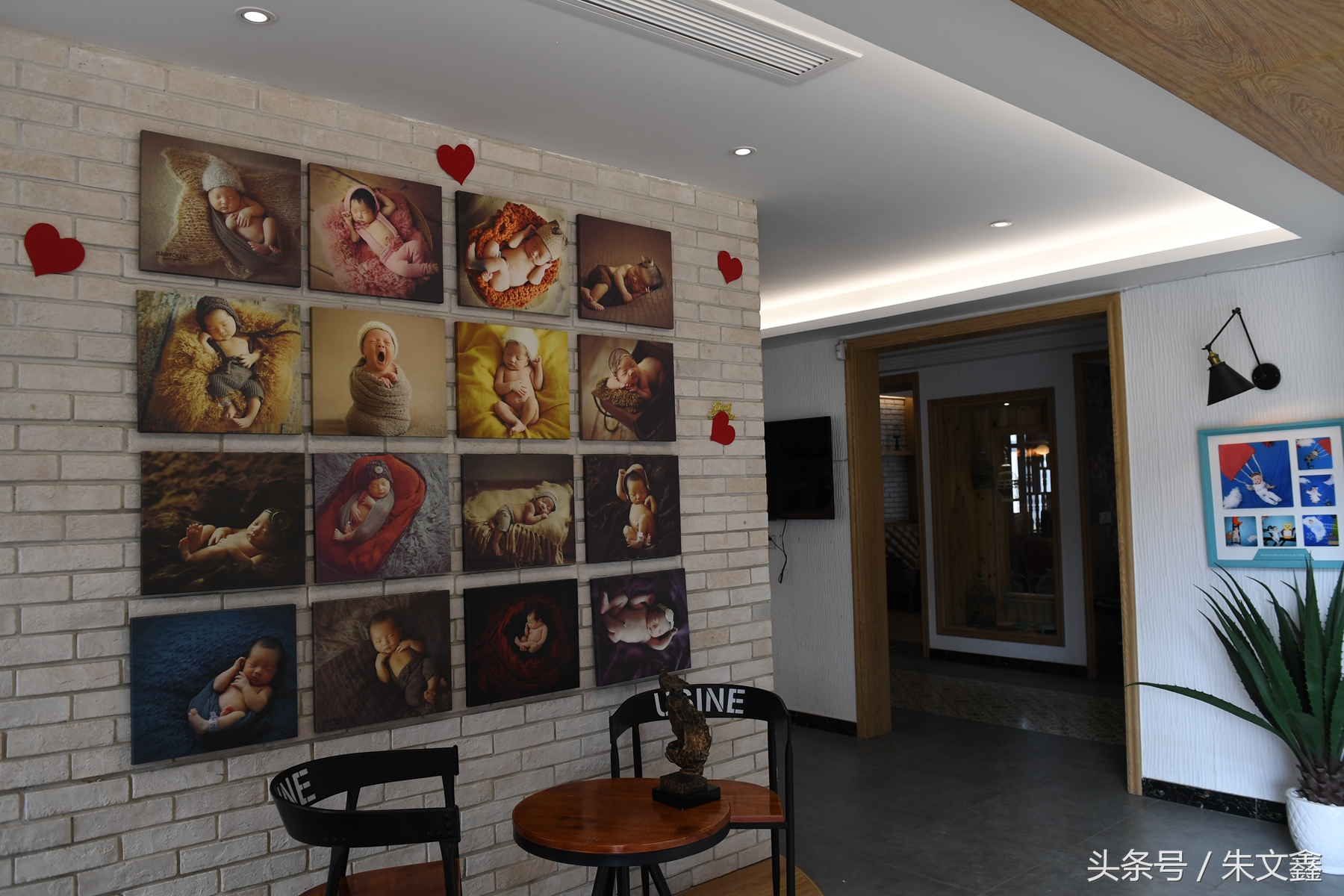 群雁高飞头雁领什么意思,群雁高飞