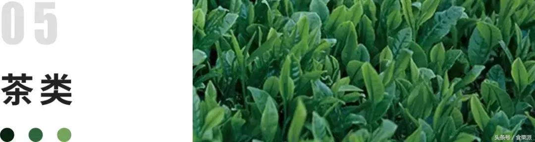 人流一个月以后可以吃螃蟹吗,吃螃蟹会导致流产的说法正确吗