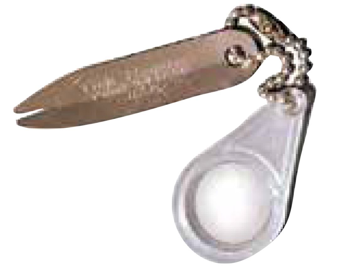 狗狗身上有虱子并有疙瘩怎么处理,狗狗身上有虱子的治疗方法