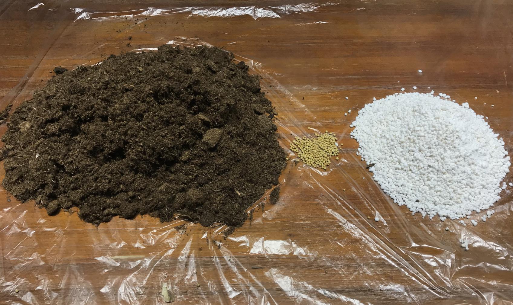 刚收到的天竺葵幼苗应该怎样养护,天竺葵的养护视频