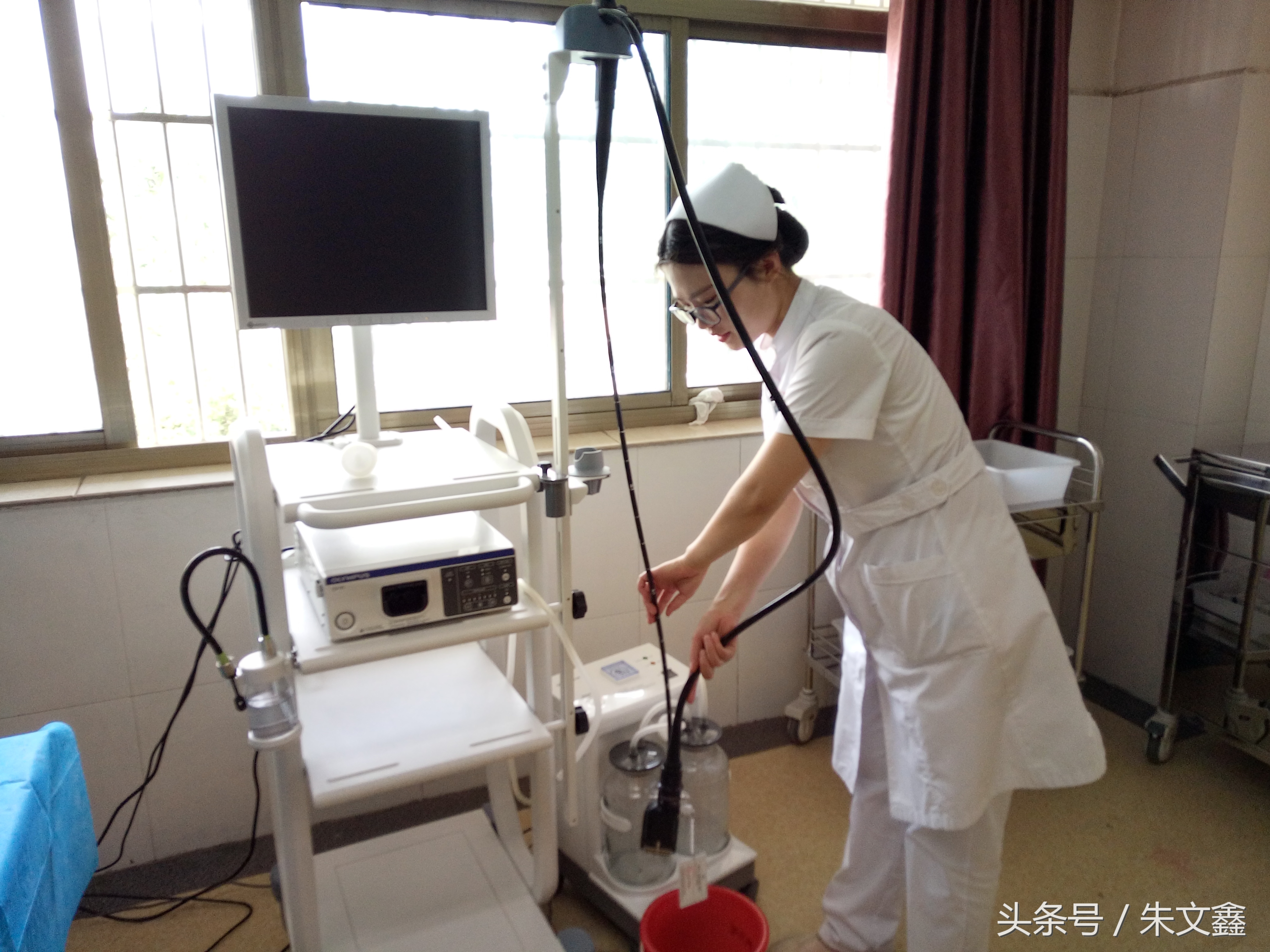 群雁高飞头雁领什么意思,群雁高飞