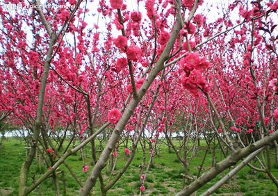 地狱和天堂你的选择,地狱炼狱天堂