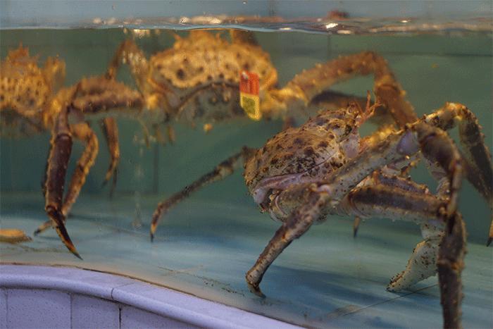 盛记海鲜窑岭店,海鲜盛宴蒸汽海鲜