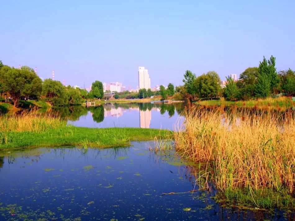 厉害了我的国厉害了我的家歌曲,厉害了我的国厉害了大中国什么歌