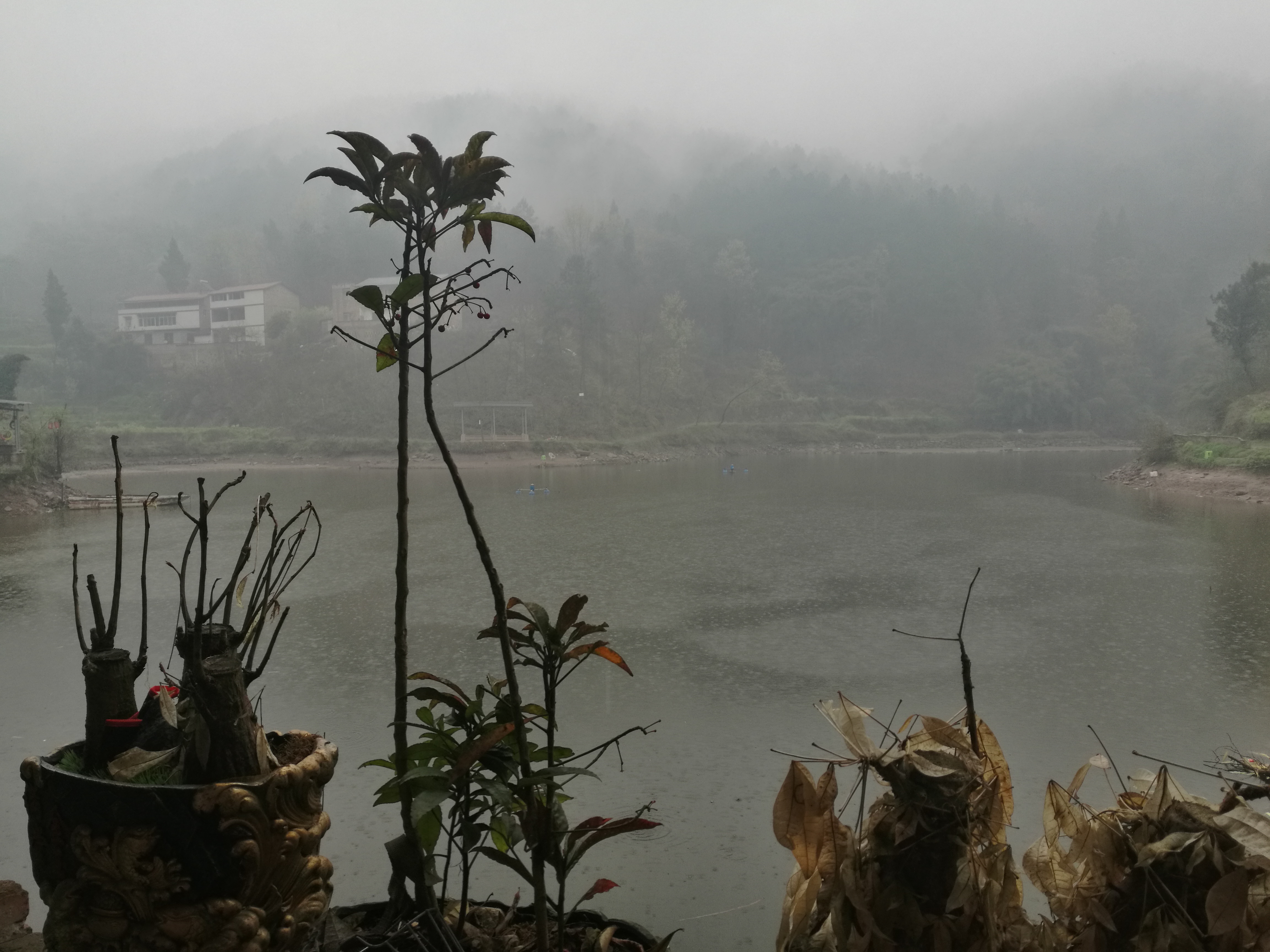 新年渔乐了第一次，看如何装渔大师