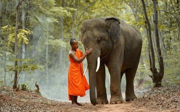 娉板浗鑺傛棩澶ц薄,娉板浗璞$鍦颁綅