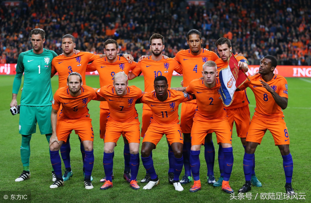 橙色郁金香美洲,橙色郁金香荷兰2010