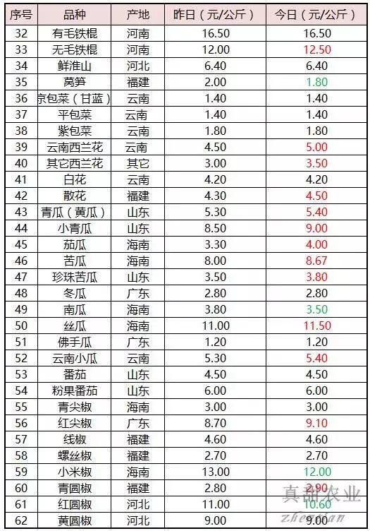 北京鼎丰生菜种子,专注成就专业品质铸就品牌