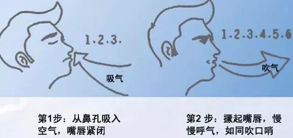 花粉过敏推荐鲜花,踏青赏花正当时花粉过敏怎么办