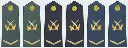 中国军衔和军官资历大全,中国的军官军衔等级