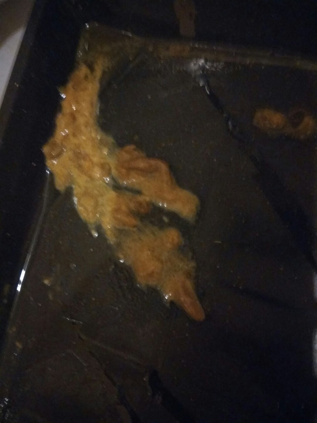 犬细小病毒的诊断与治疗论文,犬细小病毒单克隆抗体