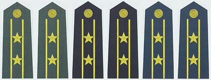 中国军衔和军官资历大全,中国的军官军衔等级