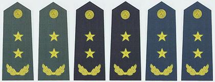 中国军衔和军官资历大全,中国的军官军衔等级