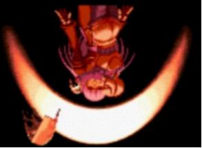 拳皇十周年魔幻版库拉,拳皇2005十周年纪念版库拉