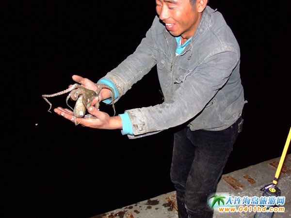 赶海捉海螺贝壳,唐山赶海抓短蛸的地方