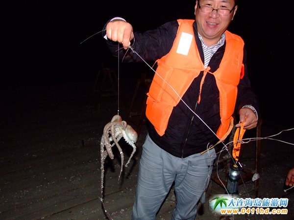 赶海捉海螺贝壳,唐山赶海抓短蛸的地方