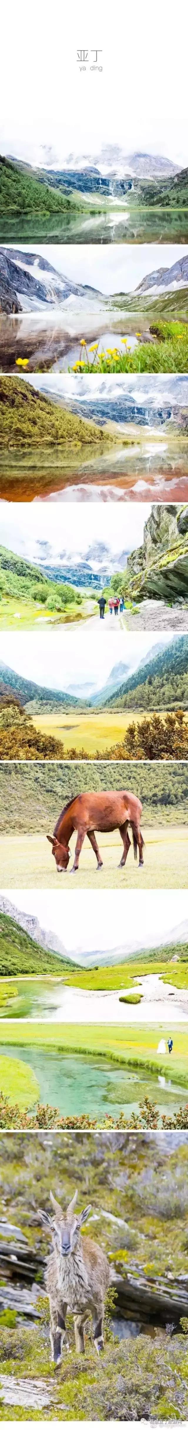 稻城亚丁详细地图,稻城亚丁地图高清版大图