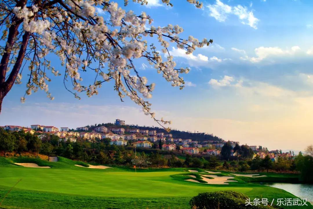 最近从武汉出发的特价机票,武汉旅游4天3晚团购价含机票