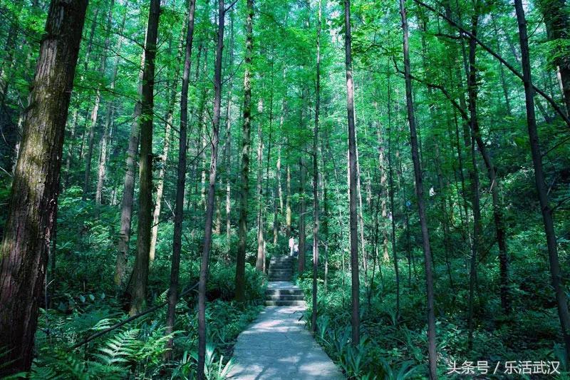 最近从武汉出发的特价机票,武汉旅游4天3晚团购价含机票