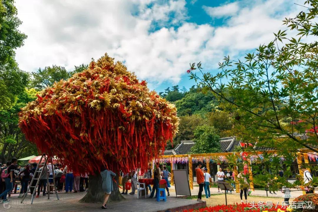 最近从武汉出发的特价机票,武汉旅游4天3晚团购价含机票
