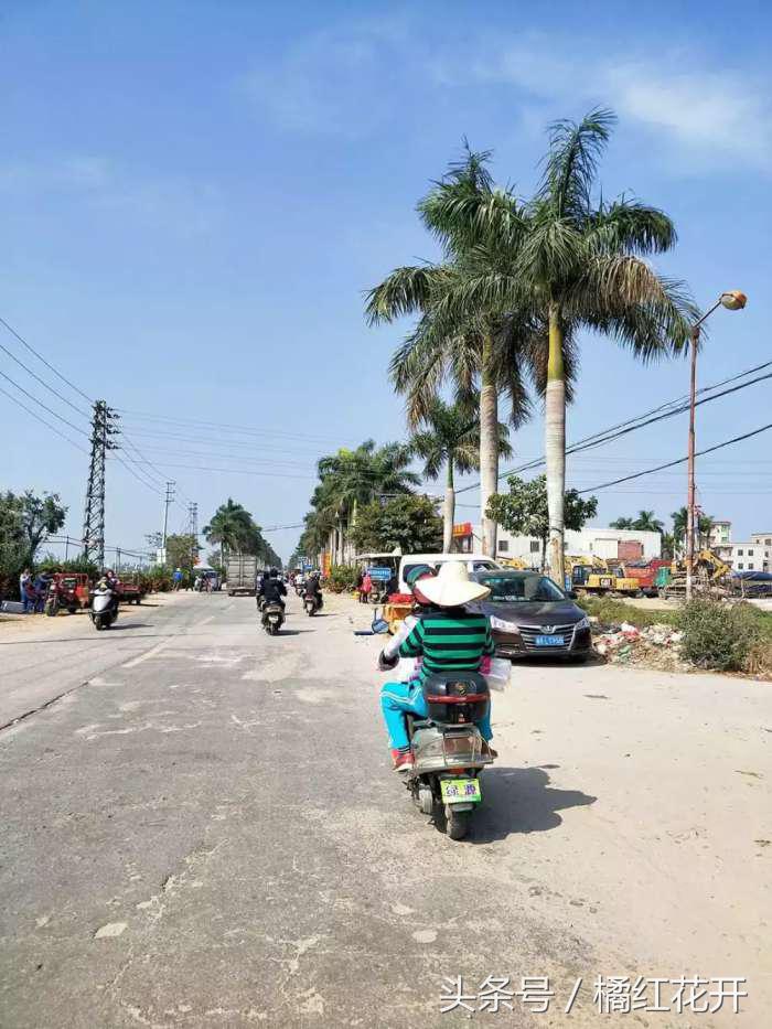 你好湛江吴川仔粤语版,欢迎来到吴川