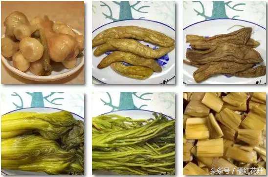 你好湛江吴川仔粤语版,欢迎来到吴川