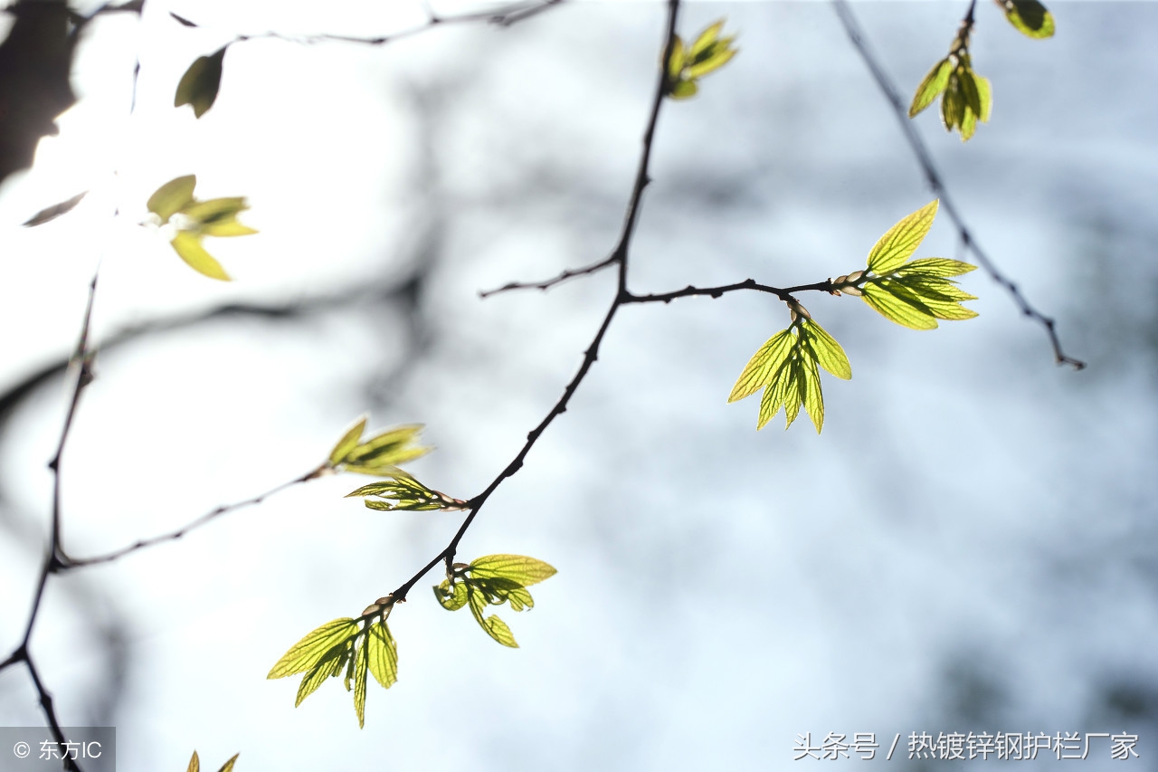 护栏姐最新的工作,护栏姐新乡