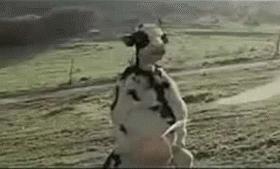 治好了我多年萝莉控技巧高超的内涵动态图