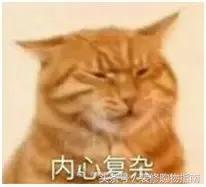 这年头没个三头六臂，都无法维持塑料关系