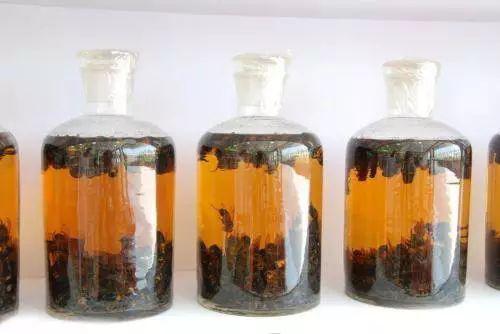 中医上病下治是什么意思,上病下治左病右治穴位图片