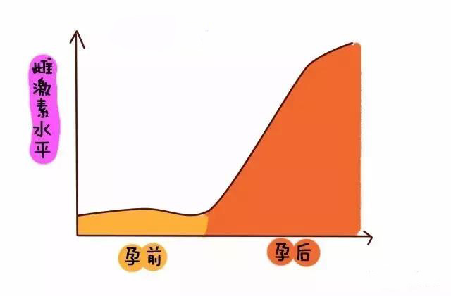 怀孕了之后一直想睡觉吃东西,怀孕后一直想吃肉是怎么回事