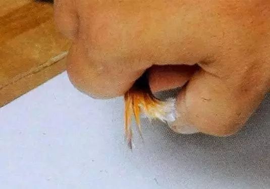 水彩技法平涂与渐变,水彩毛发胡须留白技法