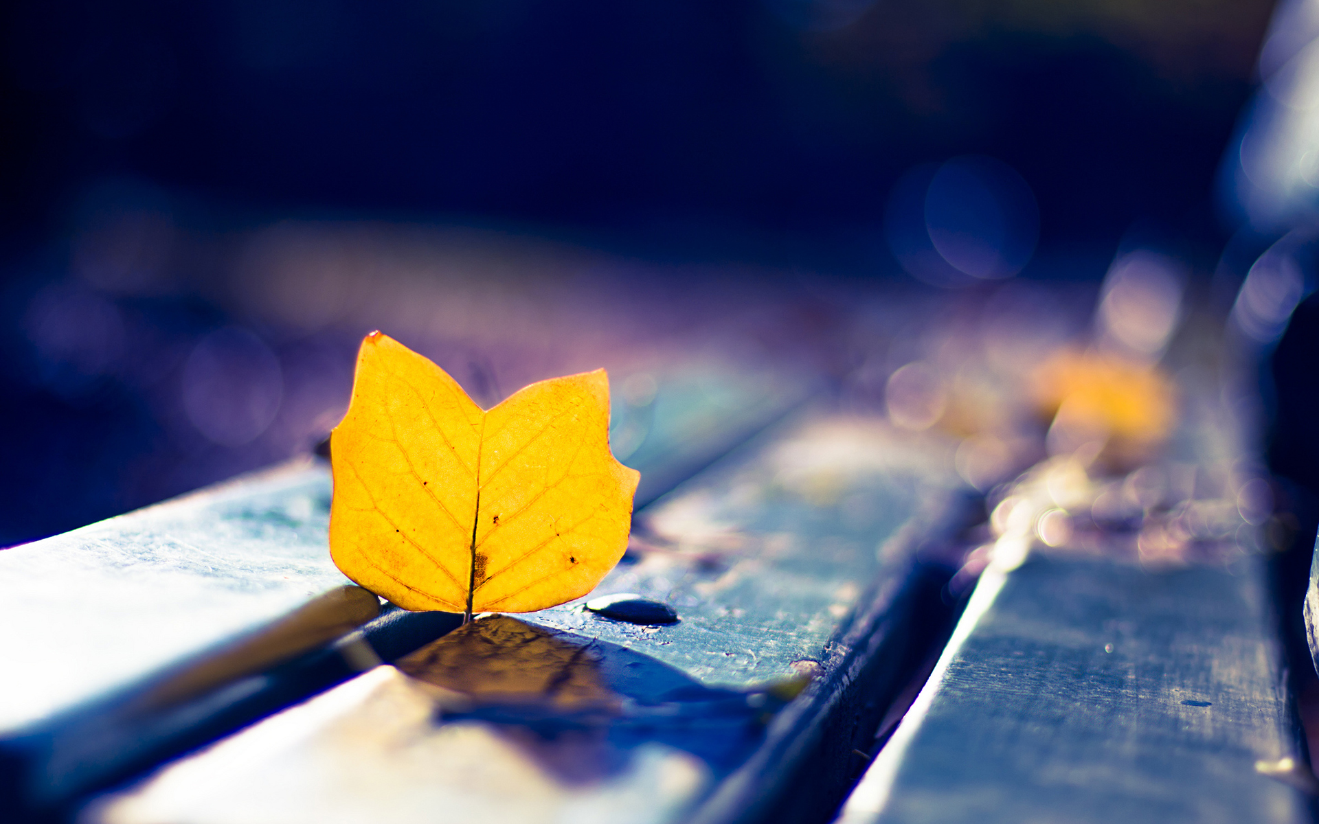 给那些变坏的好人们！