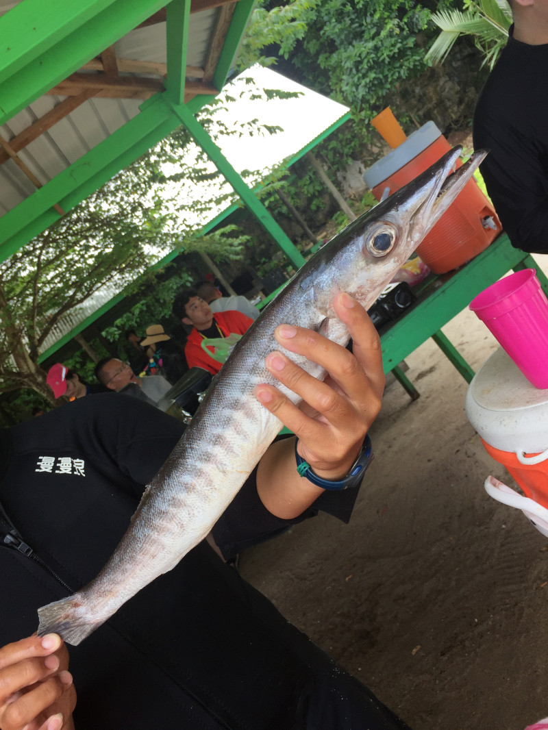 浮潜带小朋友怎么玩,帕劳亲子浮潜