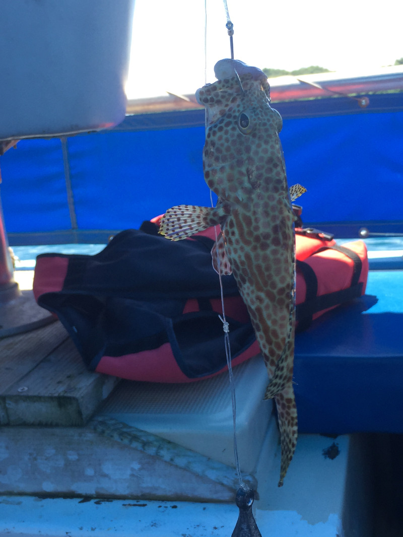 浮潜带小朋友怎么玩,帕劳亲子浮潜