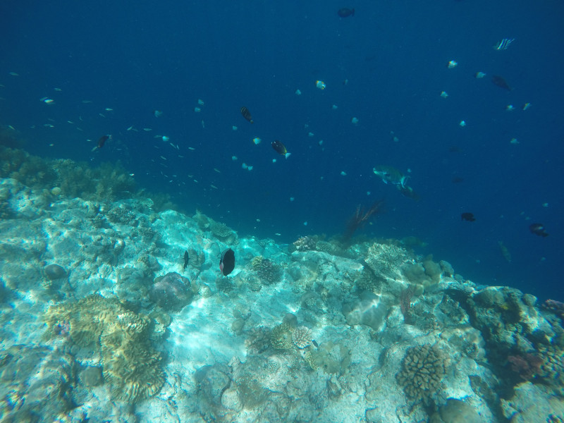 浮潜带小朋友怎么玩,帕劳亲子浮潜