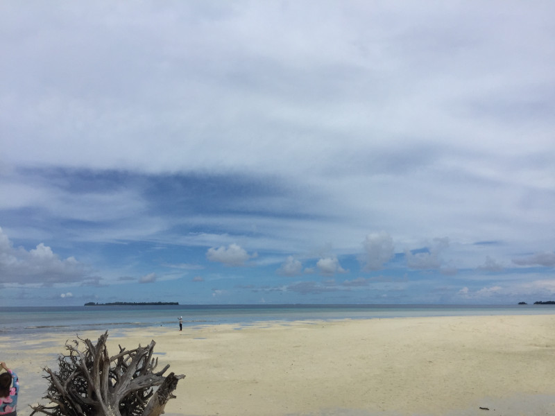 浮潜带小朋友怎么玩,帕劳亲子浮潜