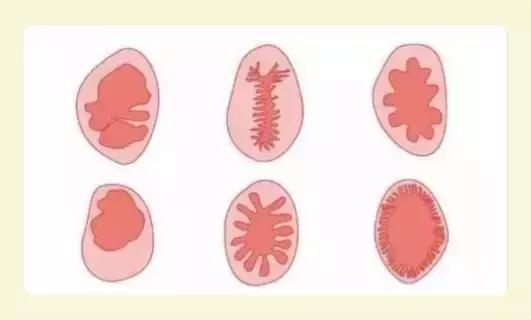 根本不存在“*处破**”这件事,处女膜本来就是破的|女孩别怕