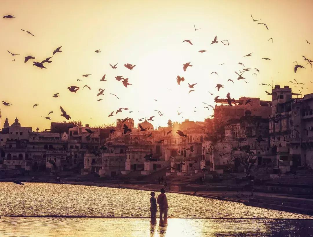 很色很燃很激情,普什卡的洒红节!