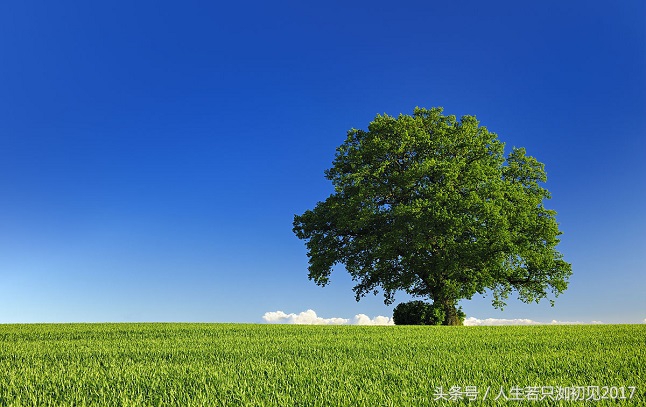 当下零成本赚钱的好项目是什么,长期赚钱小项目最佳选择