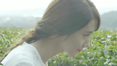 洗脸仪品牌排行榜前十名,洗脸仪清洁毛孔销量最高